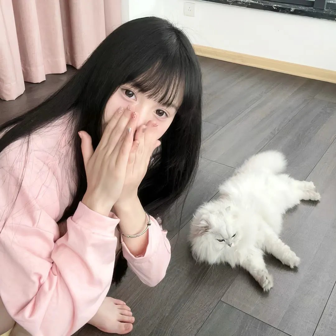 日日好狗日